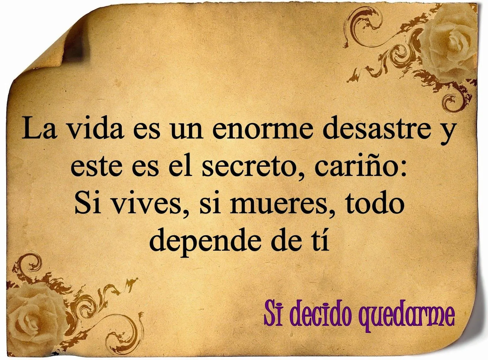 Rodeada por letras: Frases de Libros. Si decido quedarme Rodeada por letras: Frases de Libros. Si decido quedarme