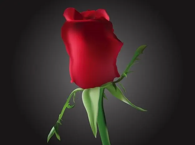 Romantic capullo vector hermosa flor | Descargar Vectores gratis
