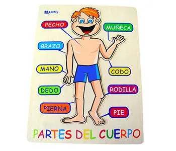 Rompecabeza de cuerpo humano - Imagui