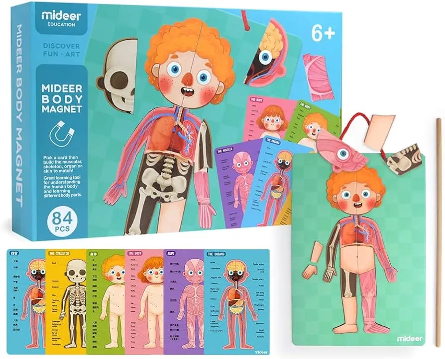 Dibujos De Rompecabezas Del Cuerpo Humano Para Niños