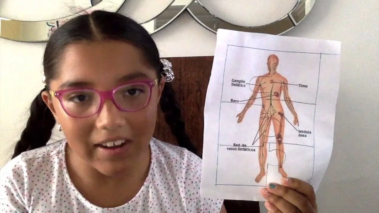 Como hacer rompecabezas divertidos y educativos del sistema linfático e inmune...FACILES PARA NIÑOS. - YouTube Como hacer rompecabezas divertidos y educativos del sistema linfático e inmune...FACILES PARA NIÑOS. - YouTube