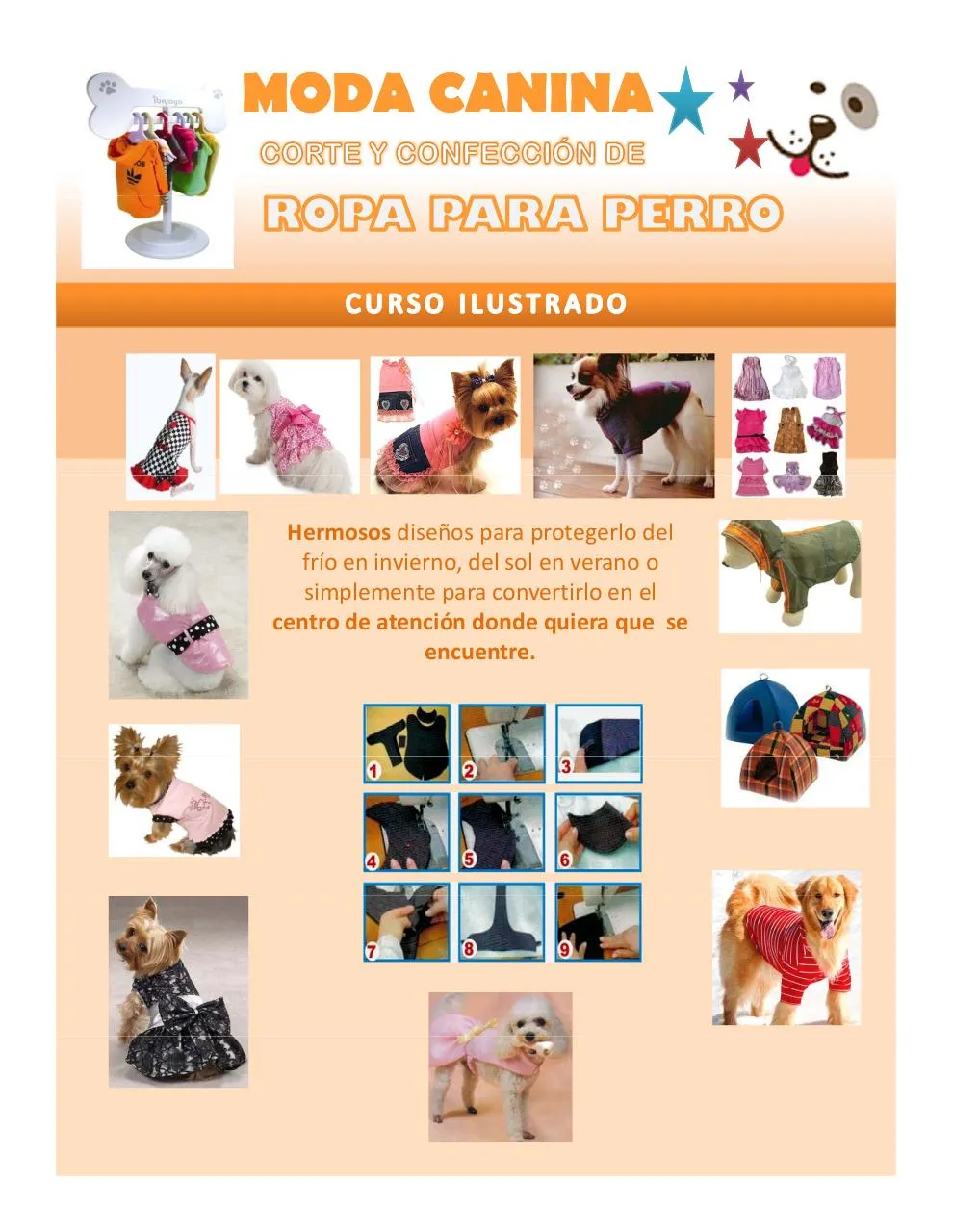 ROPA PARA PERRO COMPLETO.docx por Personal - Manual de moda canina 1 pdf - Caja PDF ROPA PARA PERRO COMPLETO.docx por Personal - Manual de moda canina 1 pdf - Caja PDF