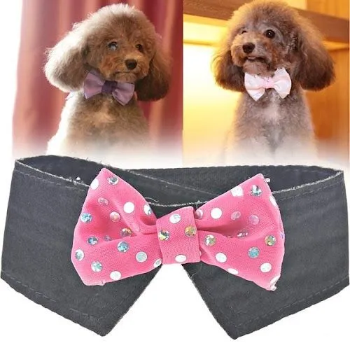 Disfraces-Y-Ropa-Para-Perros- ...