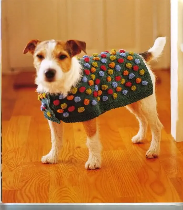 ropa para perro on Pinterest