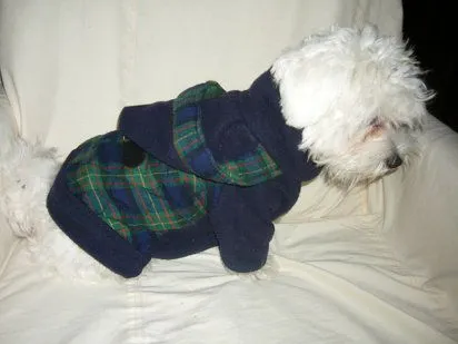 como hacer ropa para perros | Cuidar de tu mascota es facilisimo.com