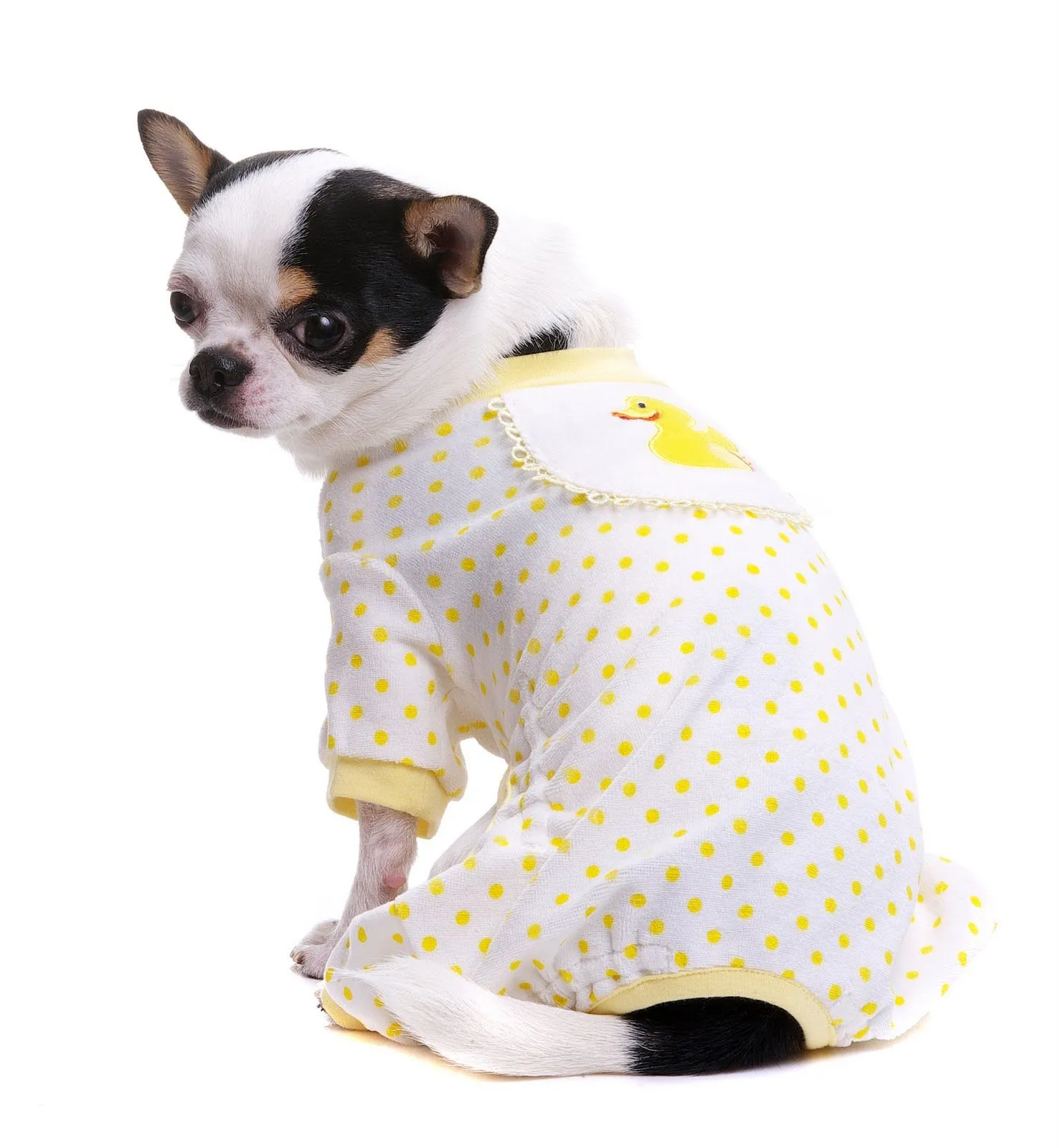 Ropa para Perros: ¡Pijamas para Perritos frioleros! Ropa para Perros: ¡Pijamas para Perritos frioleros!