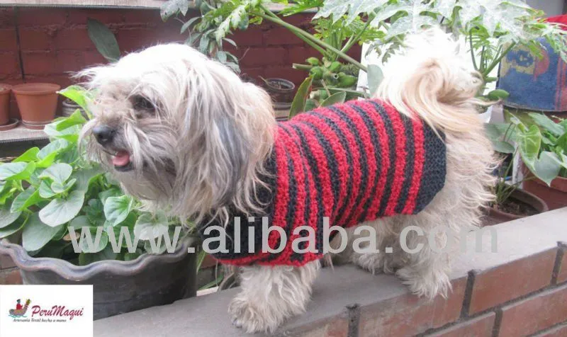 Ropa para Perros - Ropa del animal doméstico tejida en lana ... Ropa para Perros - Ropa del animal doméstico tejida en lana ...