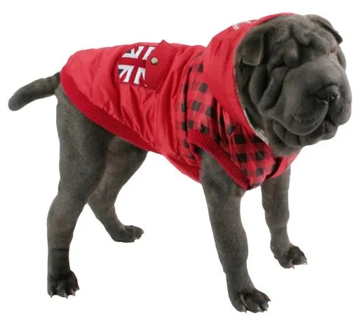 Ropa para Perros: Ropa para perros shar pei Ropa para Perros: Ropa para perros shar pei