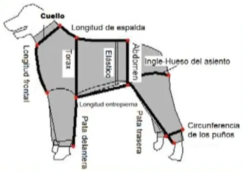 Patrones para hacer un pantalon para perro - Imagui