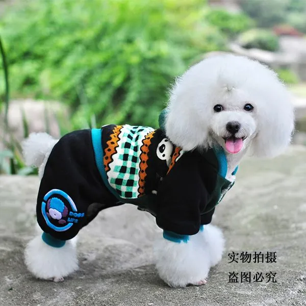 Poodle con ropa - Imagui