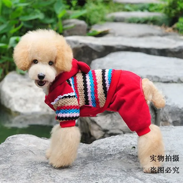 Ropa para poodle - Imagui