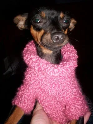  ... RECICLAJE Y MÁS: ROPA TEJIDA EN DOS AGUJAS PARA ... PERROS, OBVIO