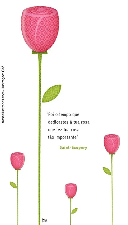 rosa