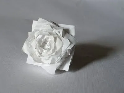 ???: Rosa