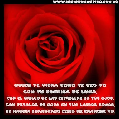 Una rosa para ti | Imagenes Tiernas - Imagenes de Amor