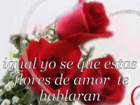 Para la Rosa mas Bella...Que existe aqui en el Jardin de mi ... Para la Rosa mas Bella...Que existe aqui en el Jardin de mi ...