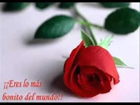 PARA LA ROSA MAS BONITA DEL JARDIN..... EJVS.wmv - YouTube