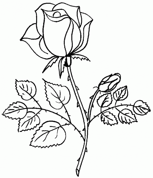 Dibujo de Rosa. Dibujo para colorear de Rosa. Dibujos infantiles ... Dibujo de Rosa. Dibujo para colorear de Rosa. Dibujos infantiles ...