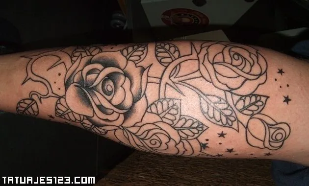 rosa1.jpg