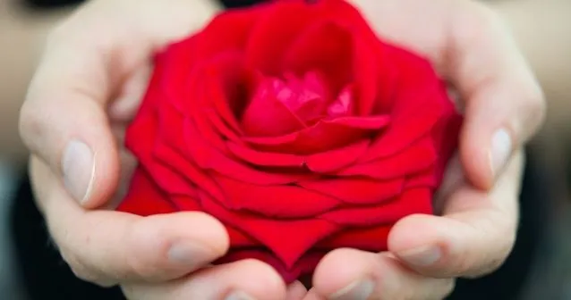 Rosa favorable | Estudiantes Uninter