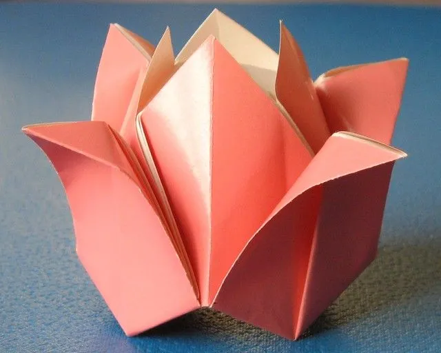 Rosa | Flickr - Photo Sharing! Rosa | Flickr - Photo Sharing!