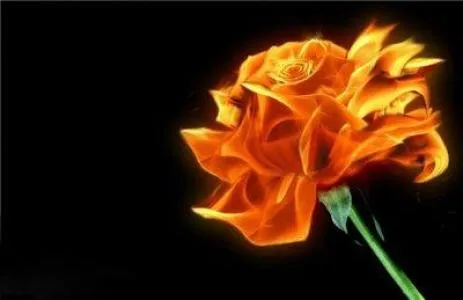 Rosa de Fuego: Carlos Ruiz Zafón | El Forastero Lector