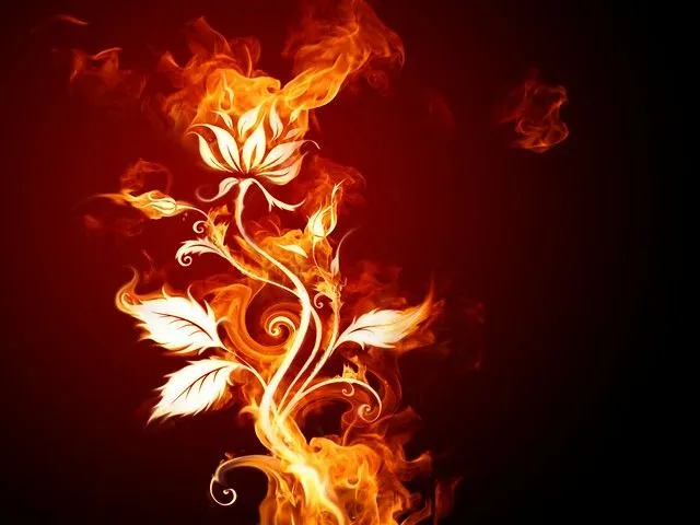 HD fuego - Imagui