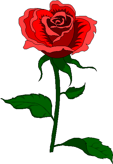 Rosa gif animado - Imagui