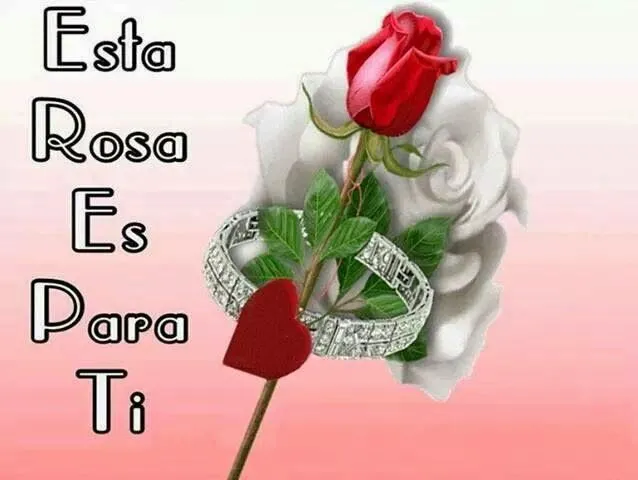 Esta rosa es para ti | Imágenes y Postales de Amor