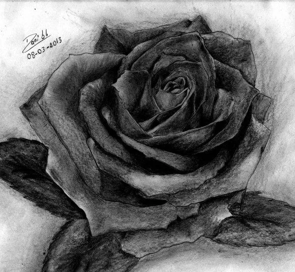 Rosas con espinas a lapiz - Imagui
