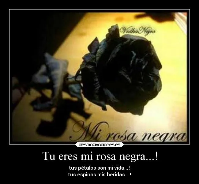Tu eres mi rosa negra...! | Desmotivaciones
