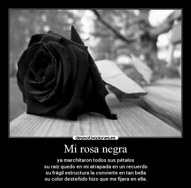 Mi rosa negra | Desmotivaciones