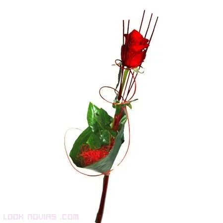 Rosa-para-invitadas.jpg