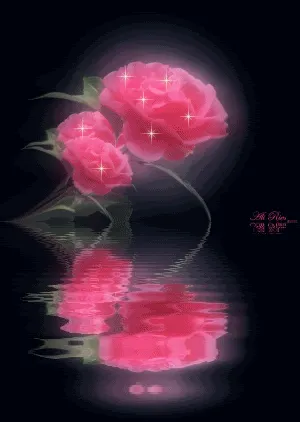 fixcars — Imagenes De Rosas Moradas Con Movimiento fixcars — Imagenes De Rosas Moradas Con Movimiento