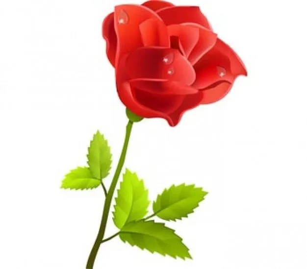rosa roja - flores de la primavera | Descargar Vectores gratis