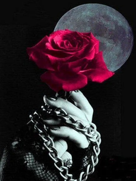 UNA ROSA ROJA - el rincon de maria