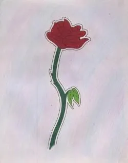 rosa roja, rojo, lápiz | Descargar Fotos gratis rosa roja, rojo, lápiz | Descargar Fotos gratis