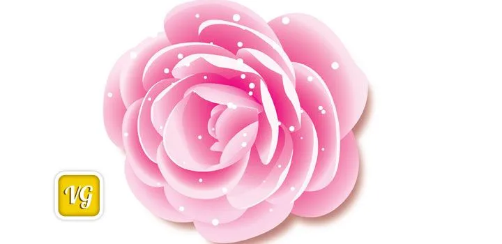 Vectores gratis de rosas - Imagui