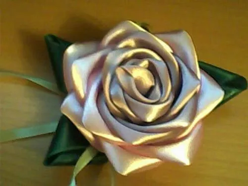 rosa1.jpg
