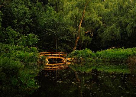 ROSANA EN EL PAÍS DE LAS HADAS: Bosques Encantados