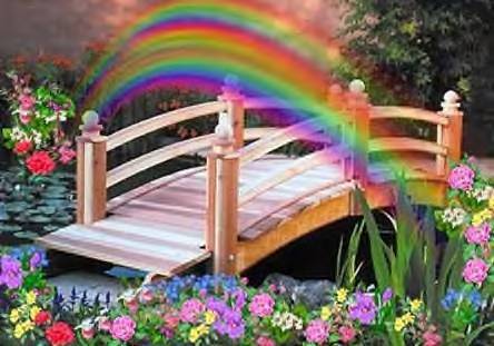 ROSANA EN EL PAÍS DE LAS HADAS: Hada Del Arco Iris ROSANA EN EL PAÍS DE LAS HADAS: Hada Del Arco Iris