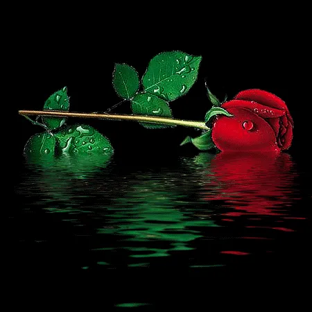 Rosas en 3D en movimiento - Imagui