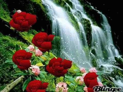 ROSAS PARA Mi GRAN AMIGA-ysabel - YouTube