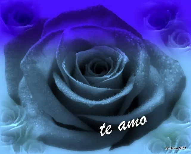 Rosas azúles animadas con movimiento - Imagui Rosas azúles animadas con movimiento - Imagui
