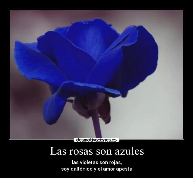 Las rosas son azules | Desmotivaciones