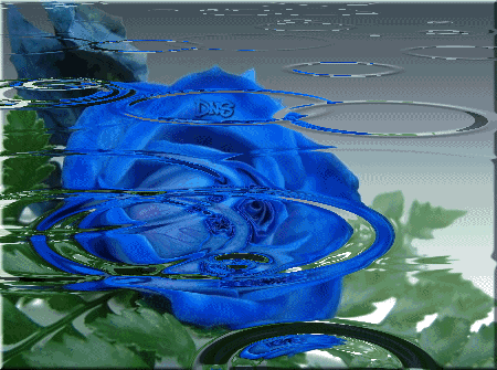 Animación de rosa azul y gotas de lluvia imagen #3744 Animación de rosa azul y gotas de lluvia imagen #3744
