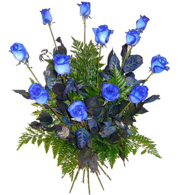 Gifs y Fondos PazenlaTormenta: GIFS DE ROSAS VARIADAS