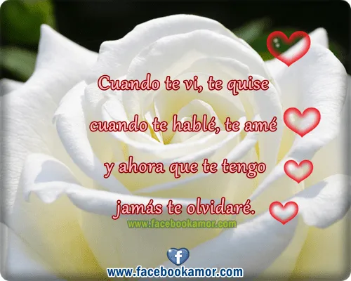 Rosas blancas con frases bonitas - Imagui