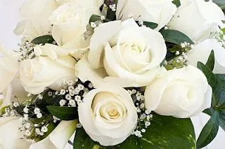 Rosas Blancas con hojas verdes y flores blancas pequeñas.