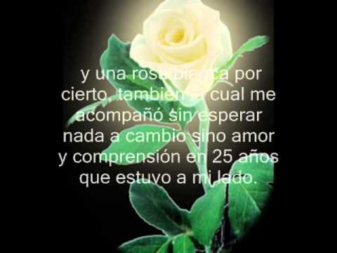 Dos Rosas Blancas - YouTube